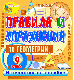 Купить программу Интерактивное пособие «Правила и упражнения по геометрии. 9 класс» от 186.00 ₽